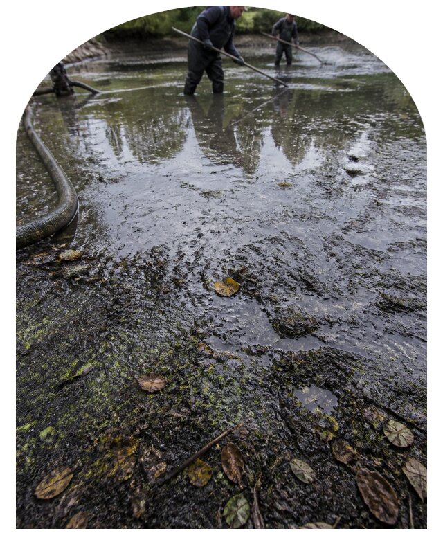 Очистка пруда в Вольске от ила мусора и водорослей с вывозом
